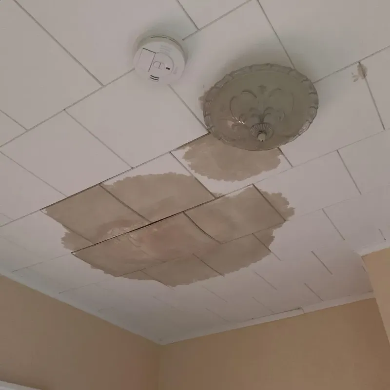 Ceiling Water Damage Repair in Lakin, KS