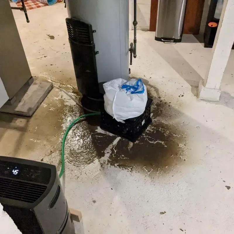Sewage Backup Cleanup Service in Lakin, KS
